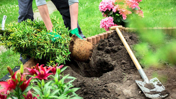 préparer son jardin pour le printemps